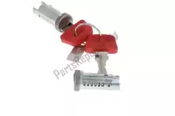 Here you can order the cylinders from Piaggio Group, with part number 573785: