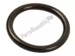 Here you can order the o ring kl650-a1 from Kawasaki, with part number 670D2018: