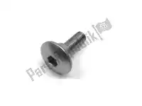 90109KW3000, Honda, screw, special, 5x17 honda  cb cbf cbr fjs gl nx sh vt xl 125 150 250 500 600 800 900 1000 1800 1988 1989 1990 1991 1993 1998 1999 2000 2001 2002 2003 2004 2005 2006 2007 2008 2009 2010 2011 2012 2013 2017 2018 2019 2020, New