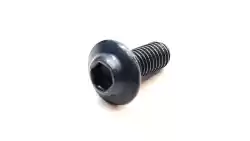 Here you can order the screw from Ducati, with part number 77244173B: