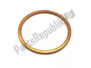 triumph T2200818 junta - Lado inferior