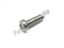 Here you can order the screw pan head from Yamaha, with part number 985800602000: