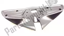 Here you can order the panel infill from Triumph, with part number T2300649:
