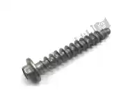 0017060405, KTM, special screw t60 6x40 ws=6 husqvarna ktm  egs exc exe mxc supermoto sx sxs 85 125 200 250 300 380 400 450 520 525 540 851714 851916 1997 1998 1999 2000 2001 2002 2003 2014 2015 2016 2017 2018 2019 2020, New