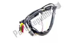 Here you can order the electric wiring from Ducati, with part number 51010761B: