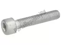 AP8150220, Piaggio Group, Hex socket screw m6x30     , New