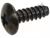 259349, Piaggio Group, Screw     , New