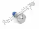 Lock screw - m8x31-mk-zns3 BMW 51257711811