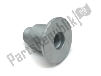 AP8121156, Piaggio Group, cespuglio, Nuovo