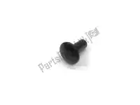 AP8144109, Piaggio Group, Fixing pin     , New