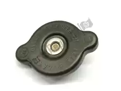 Here you can order the cap, radiator from Yamaha, with part number 5SL124620000:
