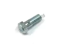 Here you can order the jet screw '100 from KTM, with part number 59038029000: