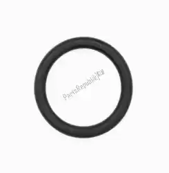 Here you can order the o-ring, id 19x3. 0 from Triumph, with part number T3600163:
