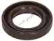 Gasket ring Piaggio Group 480066