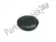 Cap, pivot Honda 90302MN9000