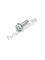 Here you can order the bolt-flanged,6x20 common from Kawasaki, with part number 130CA0620: