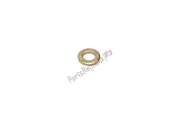 R020051147000, Benelli, washer, New