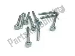 Here you can order the flange frame bolts sw10 m6x45 blank 10pcs from Mokix, with part number 89563: