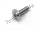 Screw Ducati 77240288C