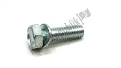 Here you can order the bolt from Suzuki, with part number 015700620A: