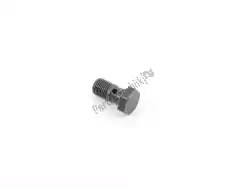 Here you can order the hollow bolt from BMW, with part number 34321242205: