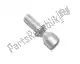 Tornillo especial m8x15 Piaggio Group AP8150349