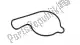 Gasket, water pump cover Honda 19226MEB670