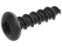 Here you can order the self-tapping screw from Piaggio Group, with part number CM179101:
