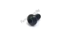 920171002000, Yamaha, screw(4tr) yamaha  tw xv xvs 125 650 850 1100 1600 1997 1998 1999 2000 2001 2002 2003 2004 2005 2006 2017 2018 2019, New