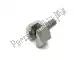 Special screw Piaggio Group 878753