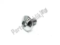 Here you can order the screw, pan, 6x10 from Honda, with part number 90170KZZ900: