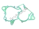 Gasket Aprilia 1A009969