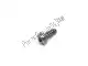 Screw, s/tap, torx, 5x16 Triumph T3331414