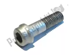 Here you can order the screw from Ducati, with part number 77916591A: