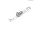 Tornillo Piaggio Group 031087