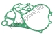 Gasket Aprilia 875111