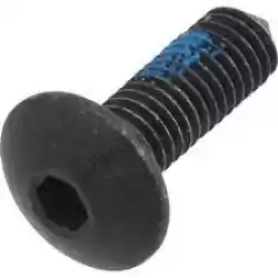 Here you can order the fillister head screw - m5x16  a4/80    from BMW, with part number 46632351521: