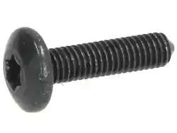 Here you can order the screw m6x16 from Piaggio Group, with part number CM179301: