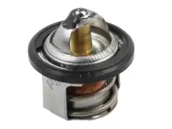 Here you can order the thermostat from Piaggio Group, with part number 82831R5: