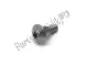 Tornillo cuerpo con resalto - m5x17,5-a2-70 BMW 46638521654