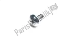 Here you can order the screw from Suzuki, with part number 035410516A: