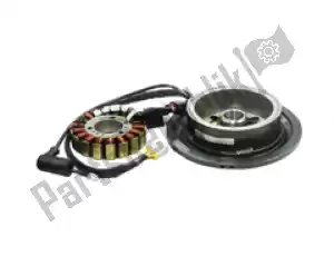 Piaggio Group 58295R volano magnete completo - Il fondo