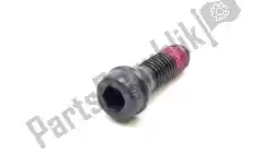 Here you can order the screw from Ducati, with part number 77113741A: