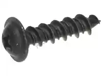 267958, Piaggio Group, self tapping screw     , New