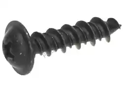 Here you can order the self tapping screw from Piaggio Group, with part number 267958: