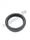 Oil seal Piaggio Group 897344