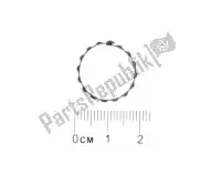 846763, Piaggio Group, compensator ring aprilia gilera  gp srv zapm55103, zd4m55104, zapm55104 800 850 2007 2009 2012 2016 2017 2018 2019, Nieuw