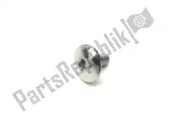 Qui puoi ordinare vite, skt hd, ss, m6x12, diametro 17mm da Triumph , con numero parte T3330219: