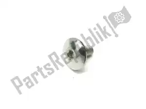 triumph T3330219 vite, skt hd, ss, m6x12, diametro 17mm - Il fondo