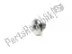 Screw, skt hd, ss, m6x12, dia 17mm Triumph T3330219